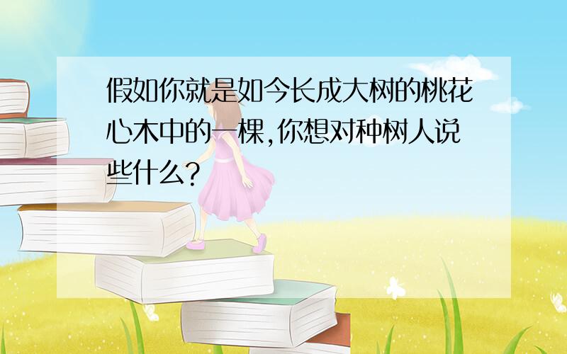 假如你就是如今长成大树的桃花心木中的一棵,你想对种树人说些什么?