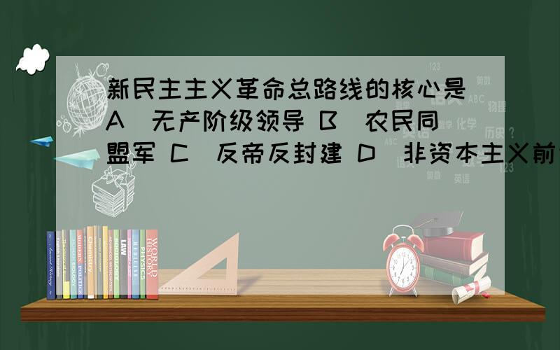 新民主主义革命总路线的核心是A．无产阶级领导 B．农民同盟军 C．反帝反封建 D．非资本主义前途