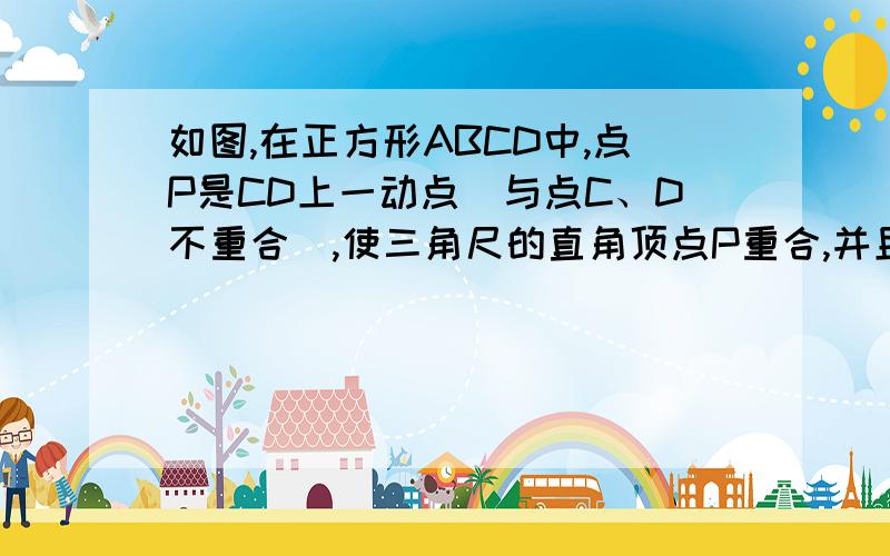 如图,在正方形ABCD中,点P是CD上一动点（与点C、D不重合）,使三角尺的直角顶点P重合,并且一条直角边始终经过点B,另一条直角边与正方形的某一边所在直线交于点E,探究：1、观察操作结果,那