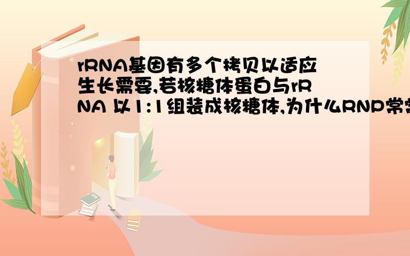 rRNA基因有多个拷贝以适应生长需要,若核糖体蛋白与rRNA 以1:1组装成核糖体,为什么RNP常常是由单拷贝基因编