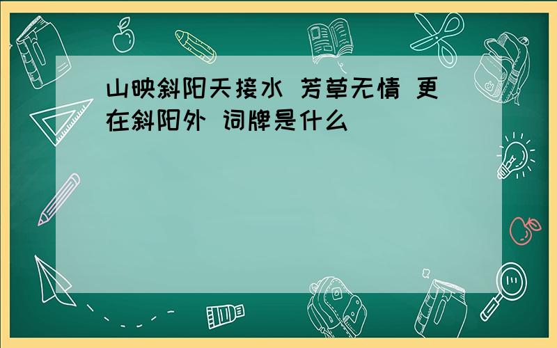 山映斜阳天接水 芳草无情 更在斜阳外 词牌是什么