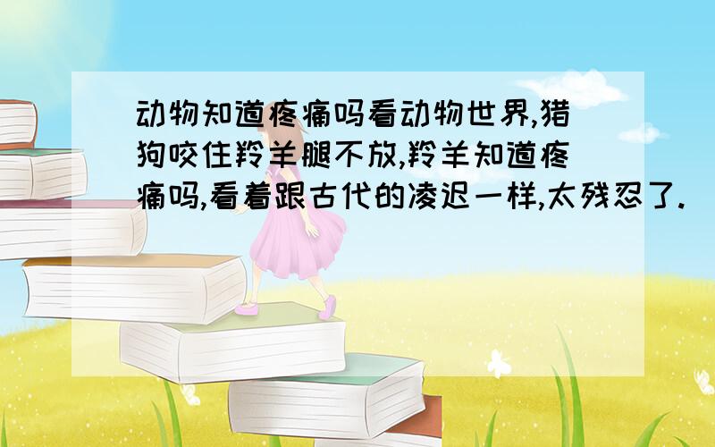 动物知道疼痛吗看动物世界,猎狗咬住羚羊腿不放,羚羊知道疼痛吗,看着跟古代的凌迟一样,太残忍了.