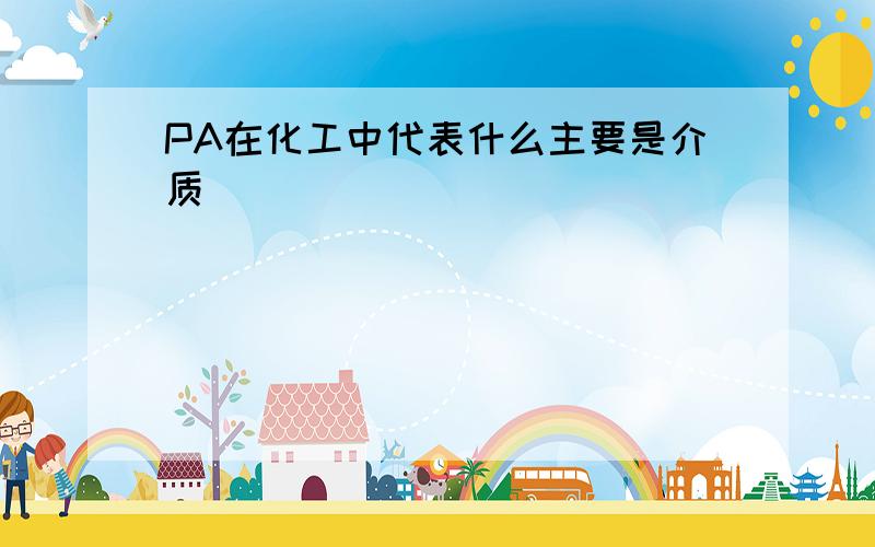 PA在化工中代表什么主要是介质