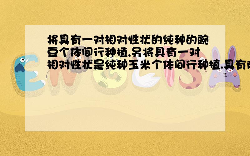 将具有一对相对性状的纯种的豌豆个体间行种植,另将具有一对相对性状是纯种玉米个体间行种植.具有隐性性隐性C.豌豆和玉米的显性和隐性比例都是3：1D.玉米都为隐性个体,豌豆既有显性又