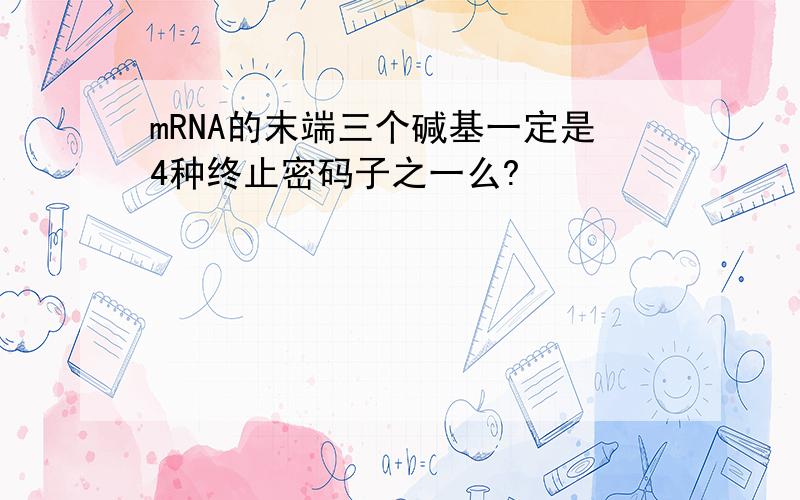 mRNA的末端三个碱基一定是4种终止密码子之一么?