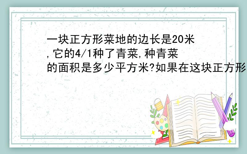 一块正方形菜地的边长是20米,它的4/1种了青菜,种青菜的面积是多少平方米?如果在这块正方形地的四周围上篱笆,篱笆长多少米?