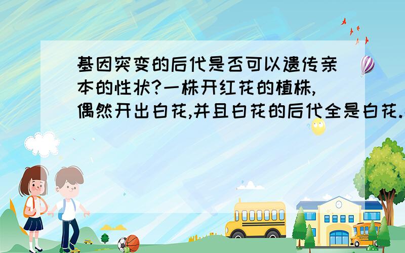 基因突变的后代是否可以遗传亲本的性状?一株开红花的植株,偶然开出白花,并且白花的后代全是白花.那这是基因突变还是基因重组?