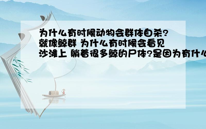 为什么有时候动物会群体自杀?就像鲸群 为什么有时候会看见沙滩上 躺着很多鲸的尸体?是因为有什么变故 还是因为什么?