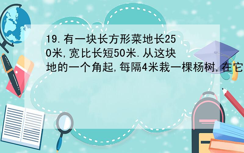 19.有一块长方形菜地长250米,宽比长短50米.从这块地的一个角起,每隔4米栽一棵杨树,在它周围共栽杨树多少棵?