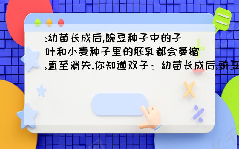 :幼苗长成后,豌豆种子中的子叶和小麦种子里的胚乳都会萎缩,直至消失.你知道双子：幼苗长成后,豌豆种子中的子叶和小麦种子里的胚乳都会萎缩,直至消失.你知道双子叶植物的子叶和单子叶