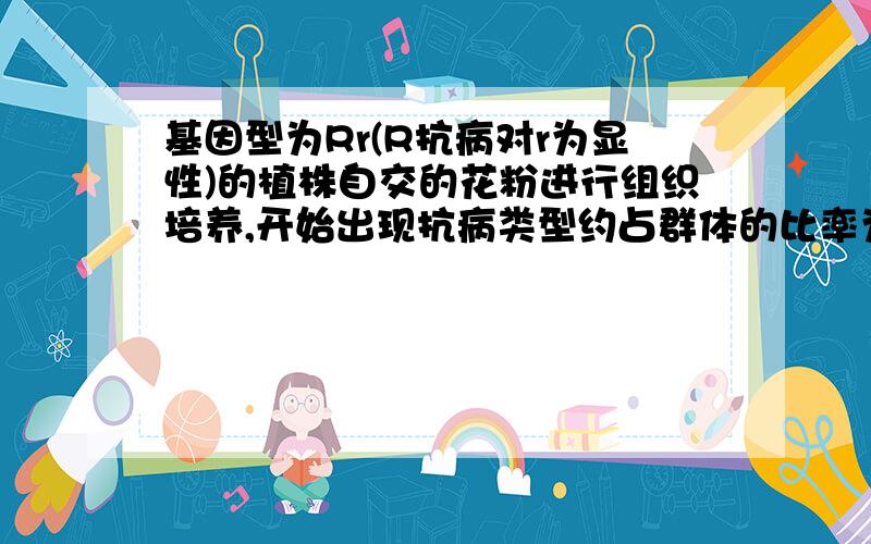 基因型为Rr(R抗病对r为显性)的植株自交的花粉进行组织培养,开始出现抗病类型约占群体的比率为多少.答案为什么是1/4