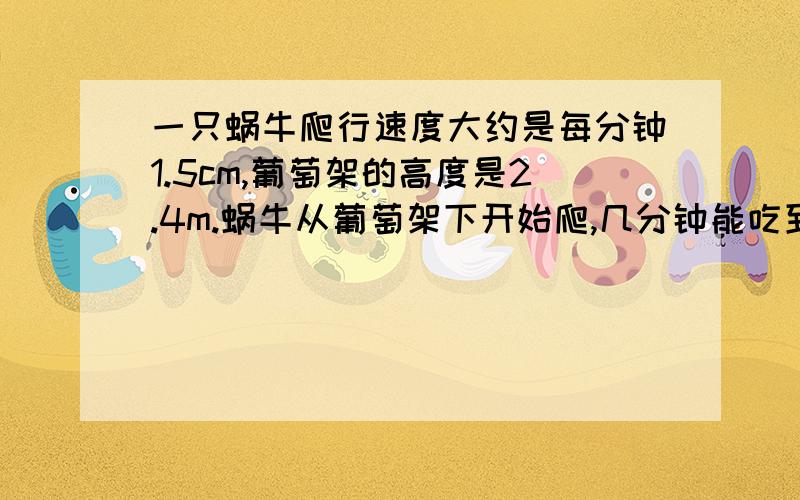 一只蜗牛爬行速度大约是每分钟1.5cm,葡萄架的高度是2.4m.蜗牛从葡萄架下开始爬,几分钟能吃到葡萄?