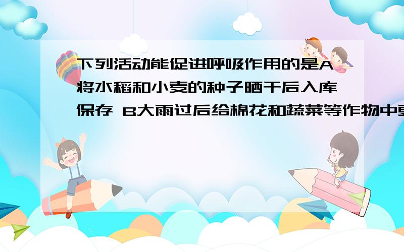 下列活动能促进呼吸作用的是A将水稻和小麦的种子晒干后入库保存 B大雨过后给棉花和蔬菜等作物中更松土C夜间,给种植蔬菜的温室大棚降温D向储存水果的地窖中通入二氧化碳