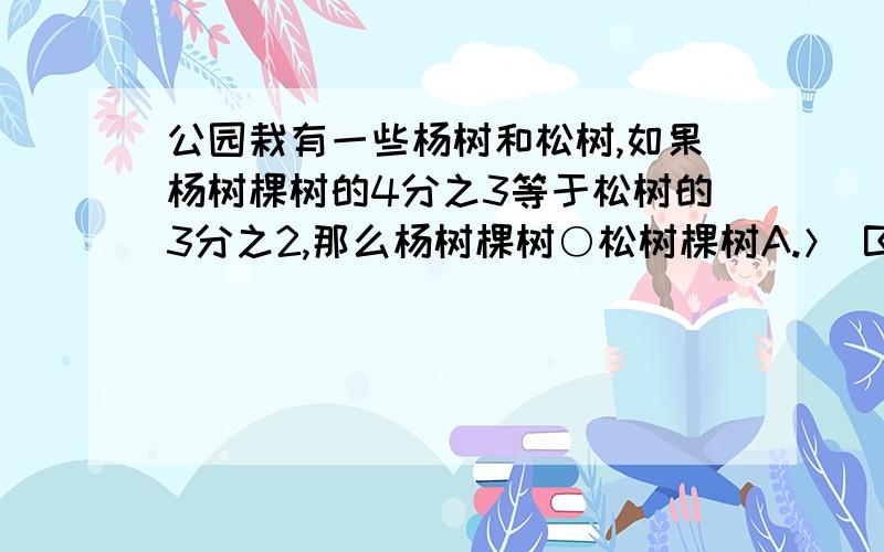 公园栽有一些杨树和松树,如果杨树棵树的4分之3等于松树的3分之2,那么杨树棵树○松树棵树A.＞ B.= C.＜ D.大于或等于