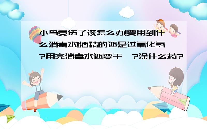 小鸟受伤了该怎么办!要用到什么消毒水!酒精的还是过氧化氢?用完消毒水还要干嘛?涂什么药?