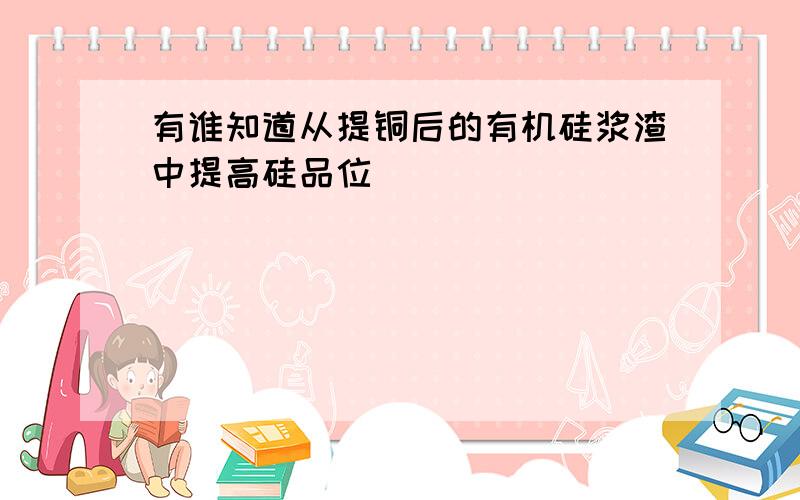 有谁知道从提铜后的有机硅浆渣中提高硅品位