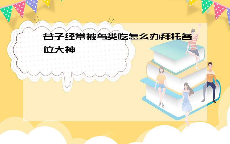 谷子经常被鸟类吃怎么办拜托各位大神