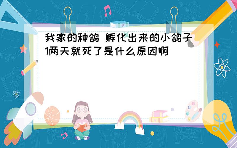 我家的种鸽 孵化出来的小鸽子1两天就死了是什么原因啊