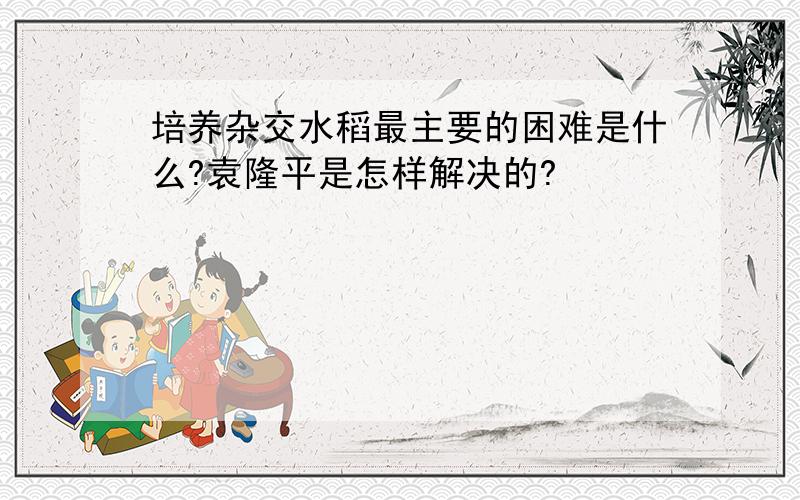 培养杂交水稻最主要的困难是什么?袁隆平是怎样解决的?