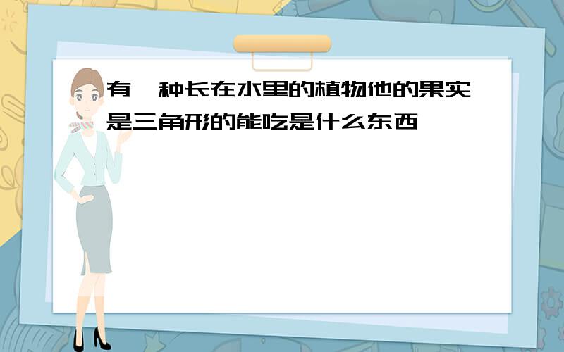 有一种长在水里的植物他的果实是三角形的能吃是什么东西