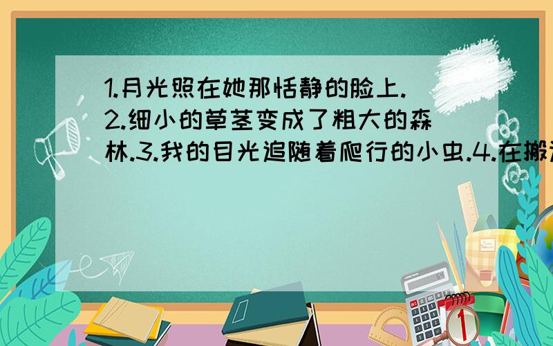 1.月光照在她那恬静的脸上.2.细小的草茎变成了粗大的森林.3.我的目光追随着爬行的小虫.4.在搬运战象的尸体时,人们发现一头浑身是血的公象.5.一只苍白僵硬的手从稻草铺上垂下来.6《蒙娜