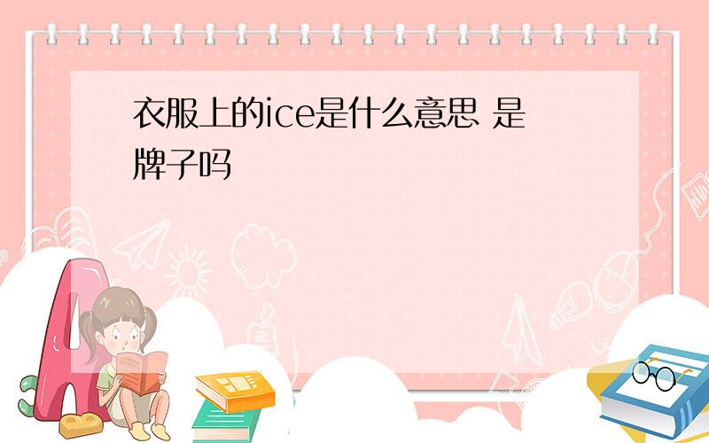 衣服上的ice是什么意思 是牌子吗