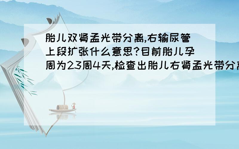 胎儿双肾孟光带分离,右输尿管上段扩张什么意思?目前胎儿孕周为23周4天,检查出胎儿右肾孟光带分离9mm,右输尿管上段宽8.5mm,左肾孟光带分离6.2mm,右输尿管扩张,对胎儿有什么影响?需要引产吗?