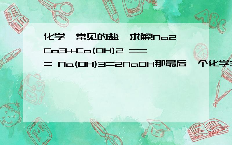 化学【常见的盐】求解!Na2Co3+Ca(OH)2 === Na(OH)3=2NaOH那最后一个化学式的“2NaOH