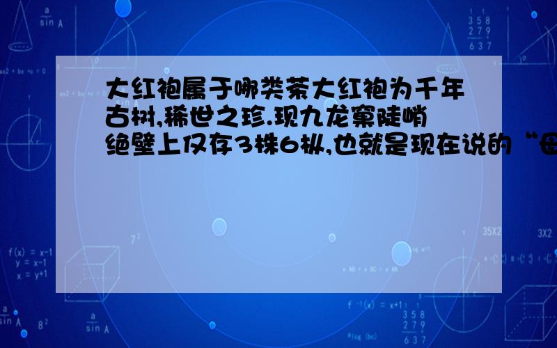 大红袍属于哪类茶大红袍为千年古树,稀世之珍.现九龙窠陡峭绝壁上仅存3株6枞,也就是现在说的“母树大红袍”,树龄已达数百年.产量稀少,被视为稀世之珍.成品茶香气浓郁,滋味醇厚,有明显