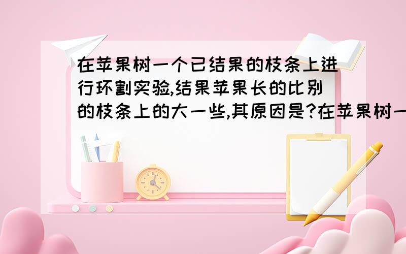 在苹果树一个已结果的枝条上进行环割实验,结果苹果长的比别的枝条上的大一些,其原因是?在苹果树一个已结果的枝条上进行环割实验,结果苹果长的比别的枝条上的大一些,其原因是?A.得到