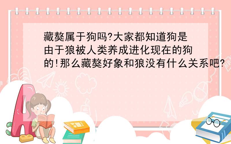 藏獒属于狗吗?大家都知道狗是由于狼被人类养成进化现在的狗的!那么藏獒好象和狼没有什么关系吧?