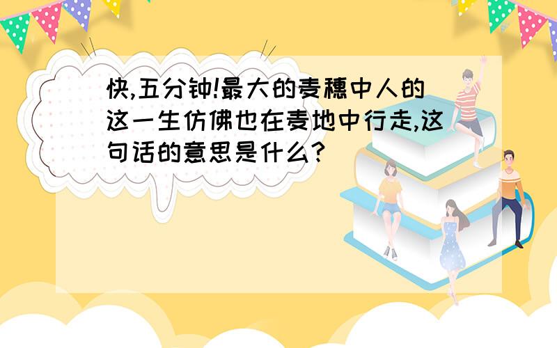 快,五分钟!最大的麦穗中人的这一生仿佛也在麦地中行走,这句话的意思是什么?