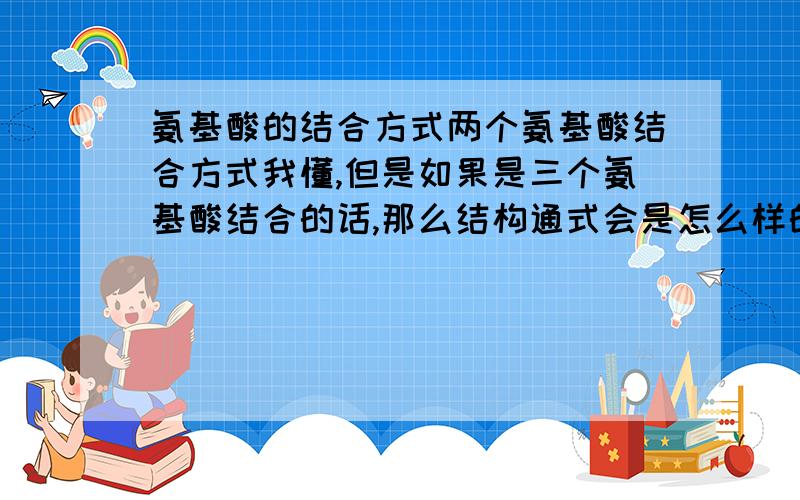 氨基酸的结合方式两个氨基酸结合方式我懂,但是如果是三个氨基酸结合的话,那么结构通式会是怎么样的?