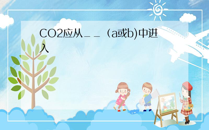 CO2应从__（a或b)中进入