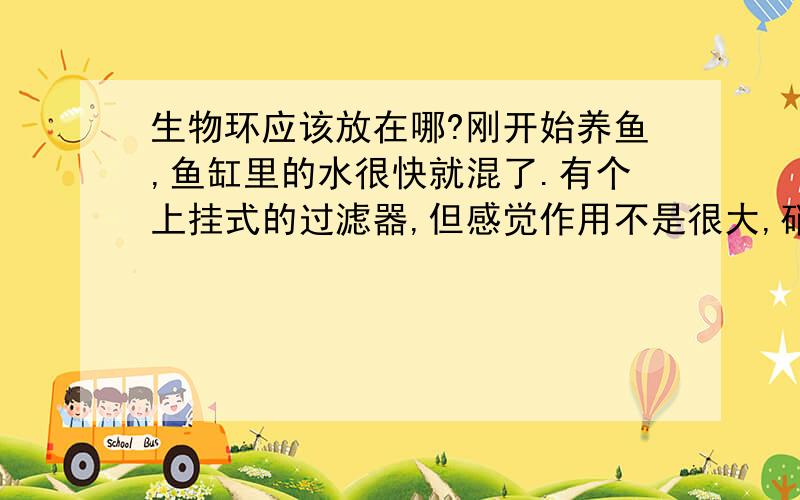 生物环应该放在哪?刚开始养鱼,鱼缸里的水很快就混了.有个上挂式的过滤器,但感觉作用不是很大,硝化细菌一周放半瓶盖,水还是混.是不是生物环放错地方了,过滤器里扔了几个,水缸底部铺了