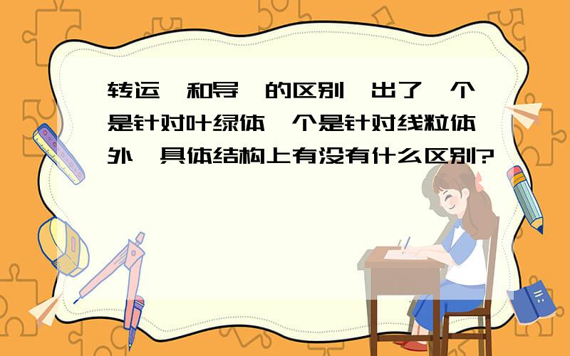 转运肽和导肽的区别,出了一个是针对叶绿体一个是针对线粒体外,具体结构上有没有什么区别?