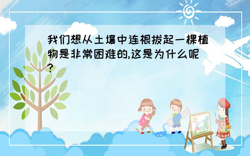 我们想从土壤中连根拔起一棵植物是非常困难的,这是为什么呢?