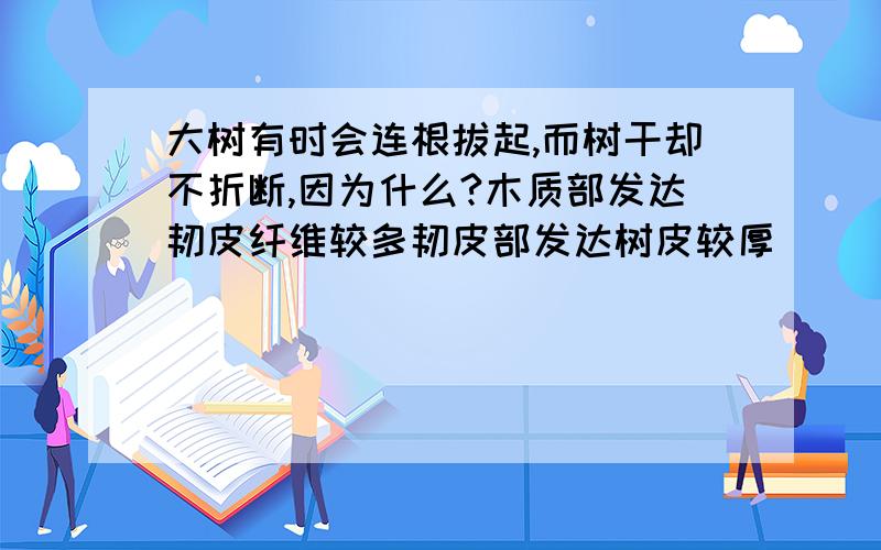 大树有时会连根拔起,而树干却不折断,因为什么?木质部发达韧皮纤维较多韧皮部发达树皮较厚