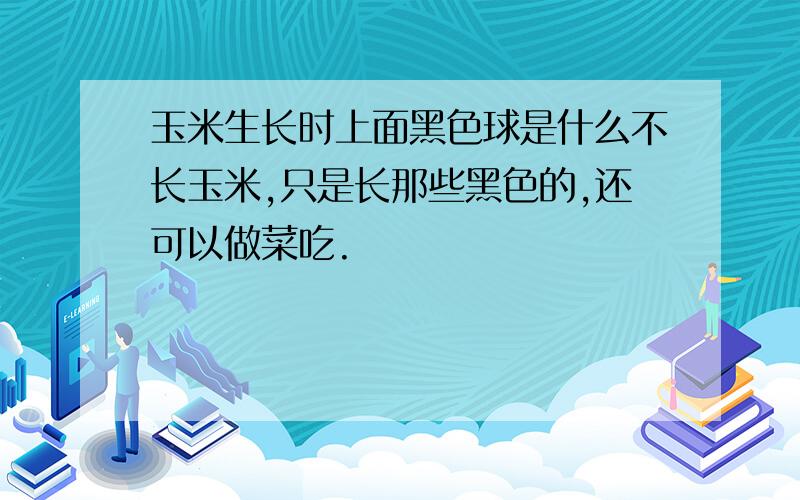 玉米生长时上面黑色球是什么不长玉米,只是长那些黑色的,还可以做菜吃.