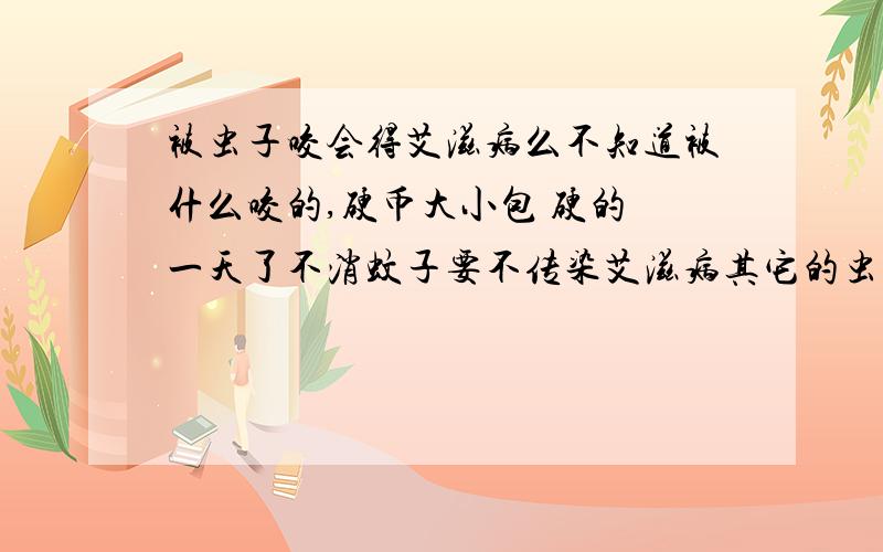 被虫子咬会得艾滋病么不知道被什么咬的,硬币大小包 硬的 一天了不消蚊子要不传染艾滋病其它的虫子呢?