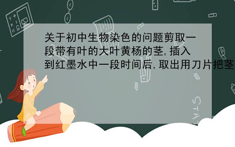 关于初中生物染色的问题剪取一段带有叶的大叶黄杨的茎,插入到红墨水中一段时间后,取出用刀片把茎纵切开,用放大镜观察,被染成红色的是?   如果插到碘里面呢?哪个部位又会变色?变成什么