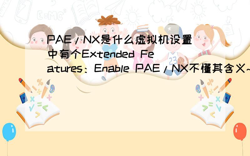 PAE/NX是什么虚拟机设置中有个Extended Features：Enable PAE/NX不懂其含义~