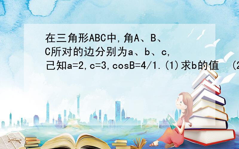 在三角形ABC中,角A、B、C所对的边分别为a、b、c,己知a=2,c=3,cosB=4/1.(1)求b的值  (2)求sinC的值