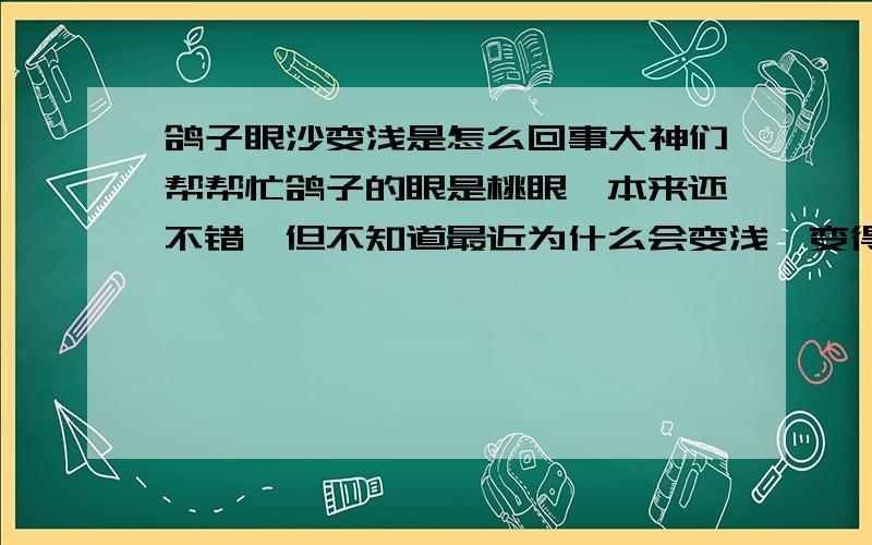 鸽子眼沙变浅是怎么回事大神们帮帮忙鸽子的眼是桃眼、本来还不错、但不知道最近为什么会变浅、变得很浅