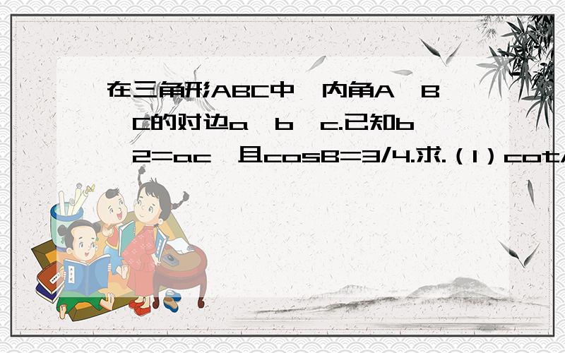 在三角形ABC中,内角A,B,C的对边a,b,c.已知b^2=ac,且cosB=3/4.求.（1）cotA+cotC.(2)设向量BA*BC=3/2.求a+c的值..注用正弦和余弦做..高二程度...谢谢