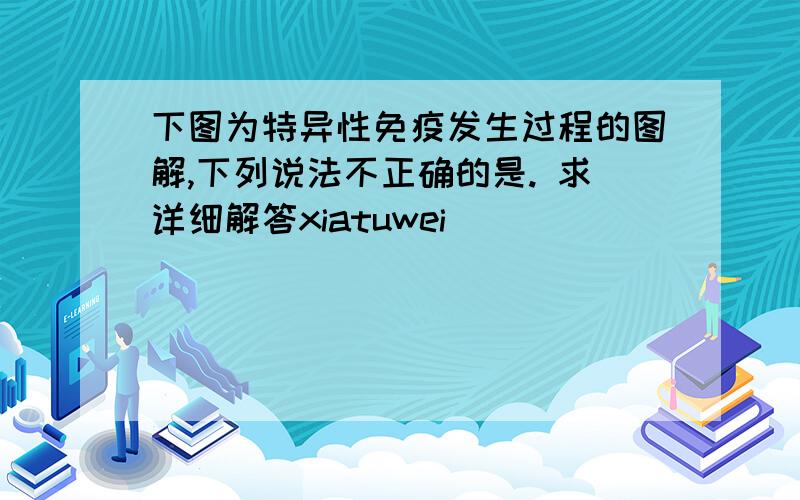 下图为特异性免疫发生过程的图解,下列说法不正确的是. 求详细解答xiatuwei