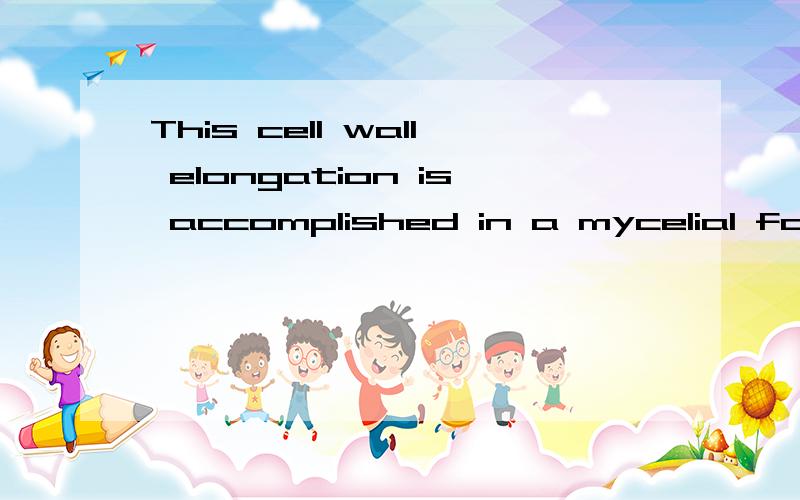 This cell wall elongation is accomplished in a mycelial fashion,i.e.,polarly 怎么翻译?