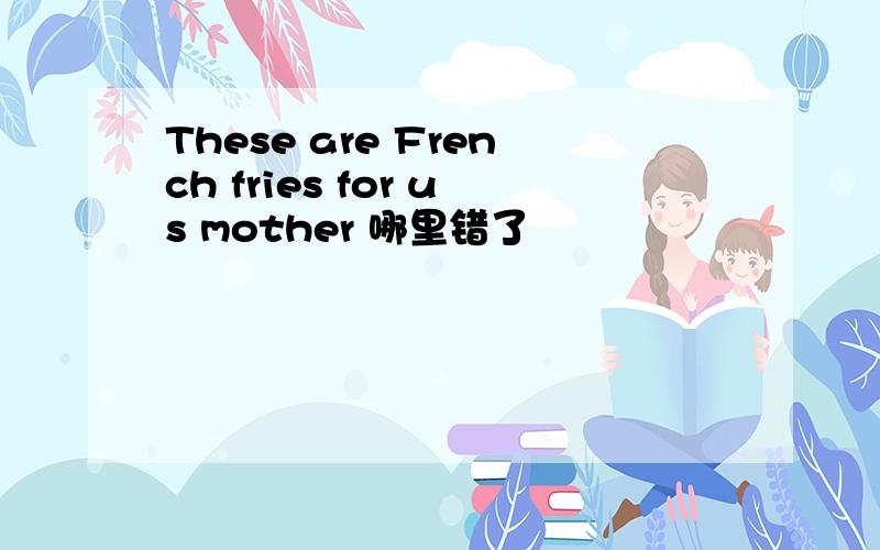 These are French fries for us mother 哪里错了