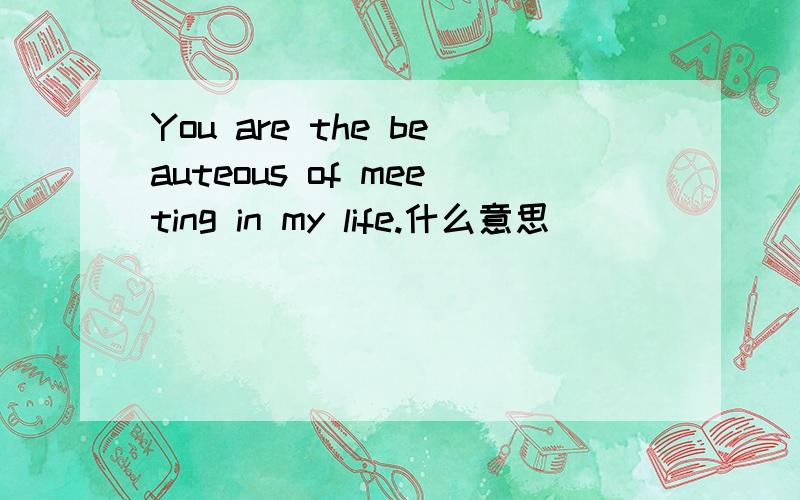 You are the beauteous of meeting in my life.什么意思