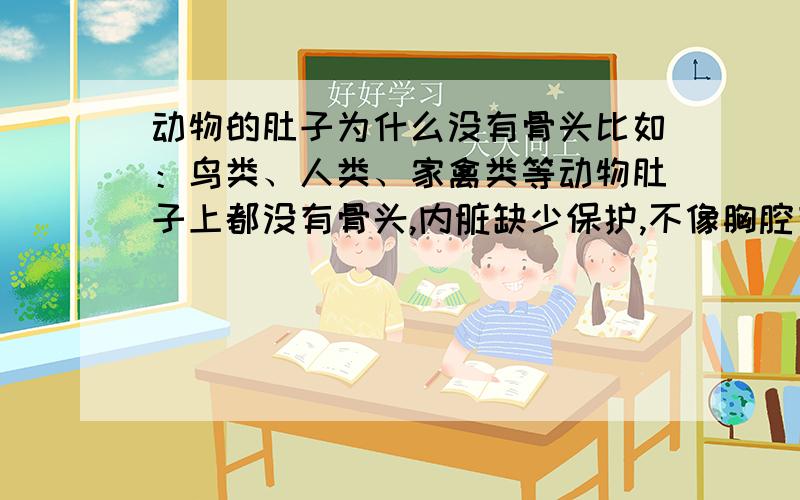 动物的肚子为什么没有骨头比如：鸟类、人类、家禽类等动物肚子上都没有骨头,内脏缺少保护,不像胸腔有肋骨保护内脏.